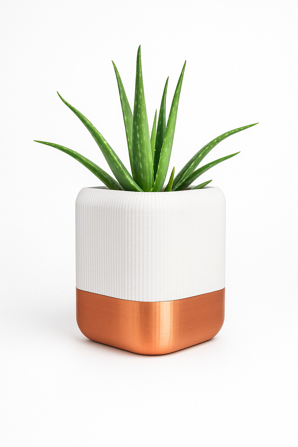 🪴 QUADRA – Maceta Autorriego de Diseño Elegante (Blanco & Cobre, 14x12x12 cm)