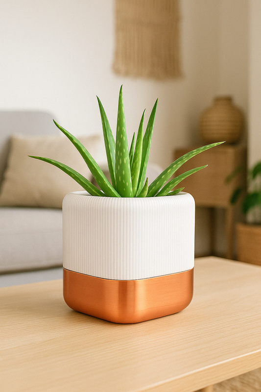 🪴 QUADRA – Maceta Autorriego de Diseño Elegante (Blanco & Cobre, 14x12x12 cm)